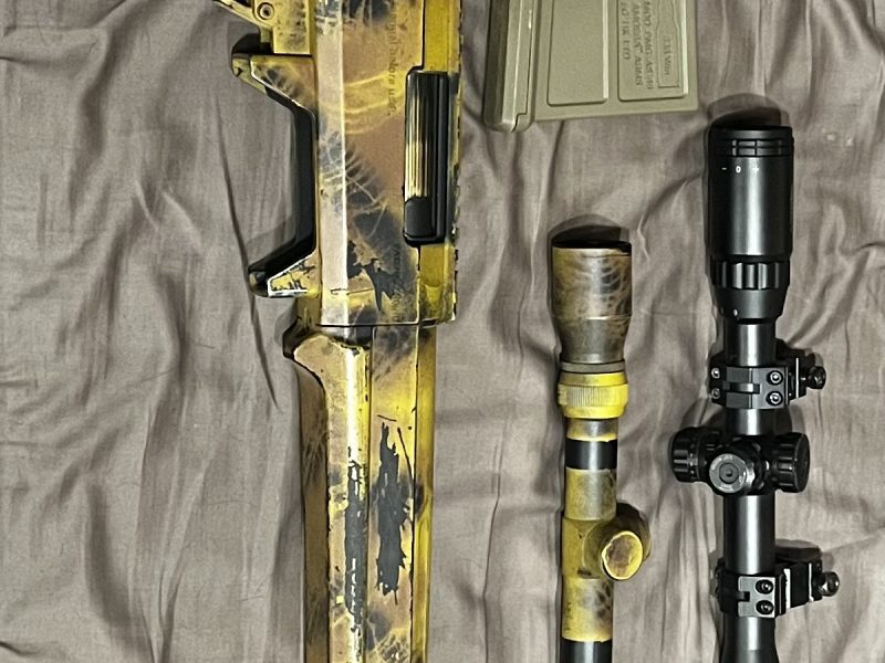 ARES AMOEBA STRIKER
