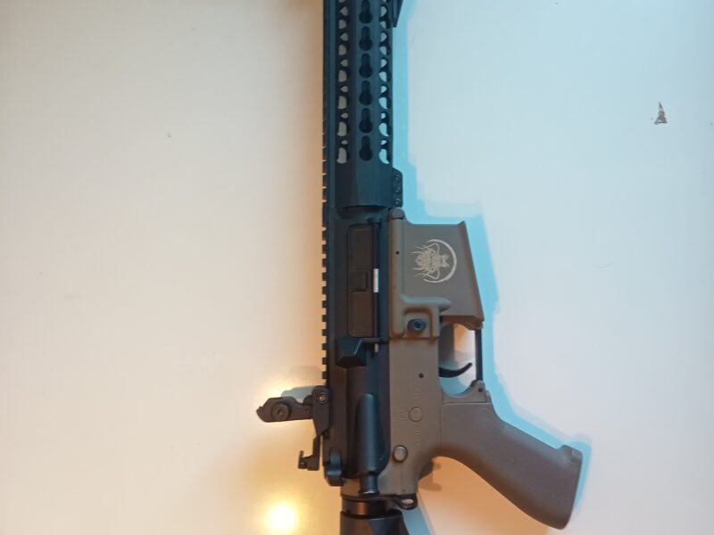 M4 saigo kenji