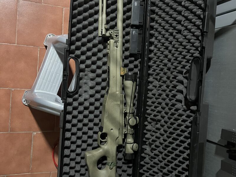 L96 fijo custom