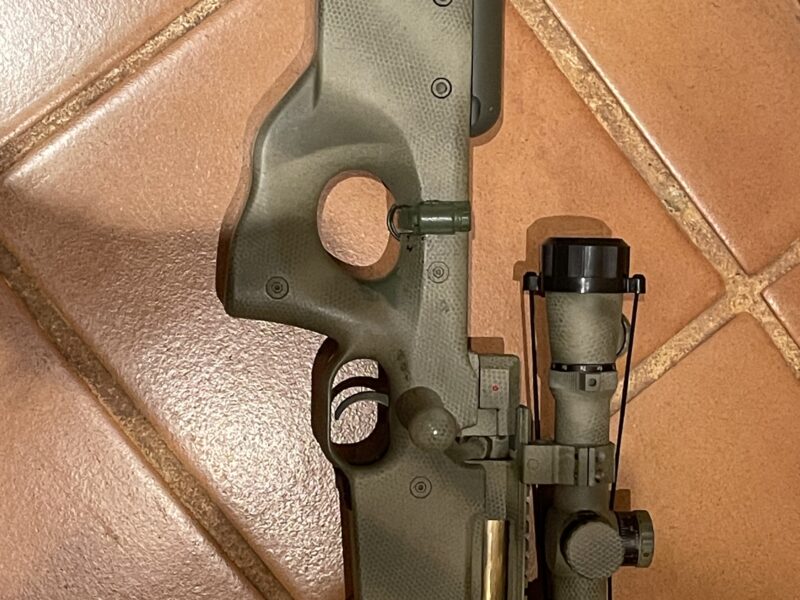 L96 fijo custom