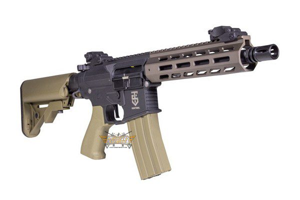 AR15 Rossi electrica