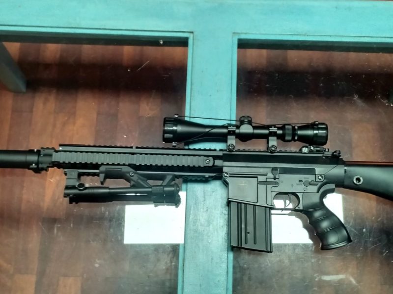 DMR Golden Eagle SR25 con accesorios