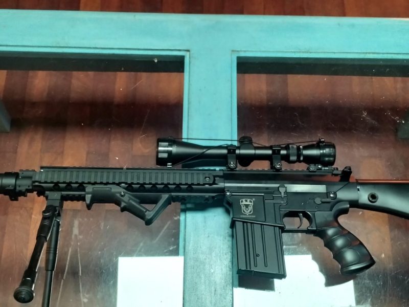 DMR Golden Eagle SR25 con accesorios