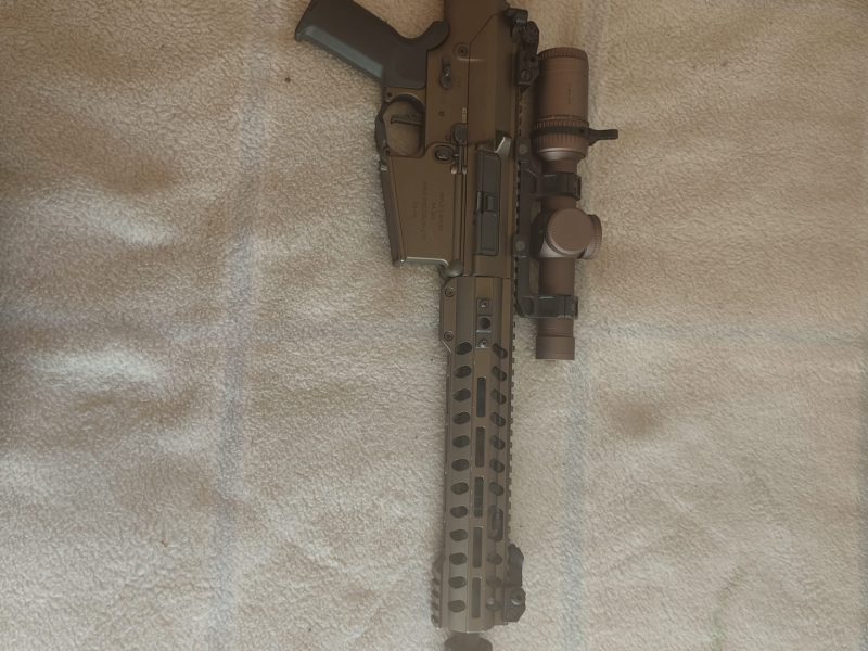 DMR Ares amoeba a308m