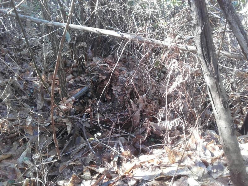 Ghillie 3d otoño + Chest rig + Mascara + Dump Pouch