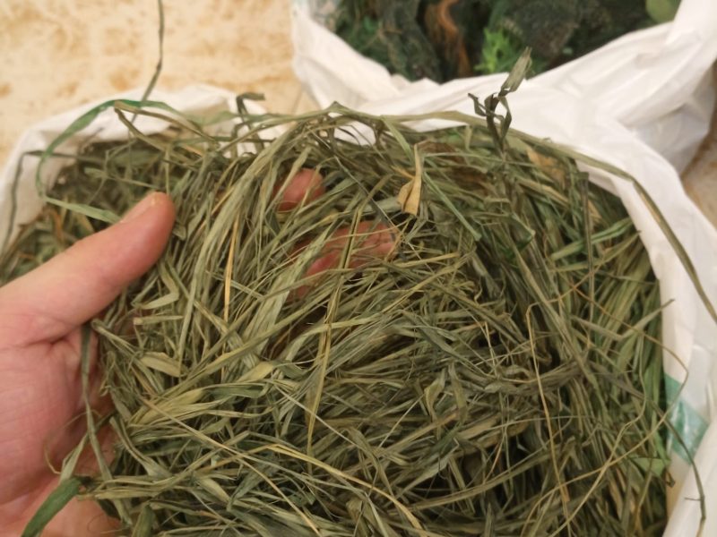 Manto ghillie con capucha