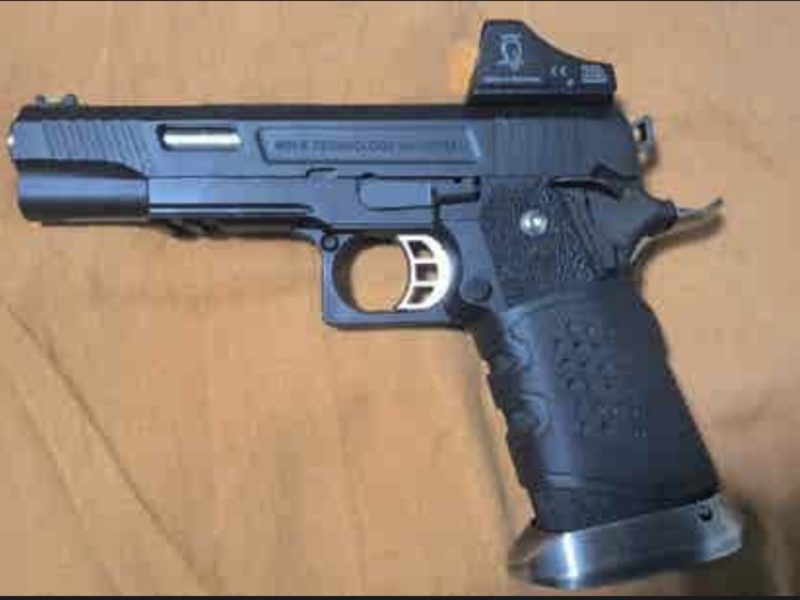 WE hi capa 5.1 T-rex