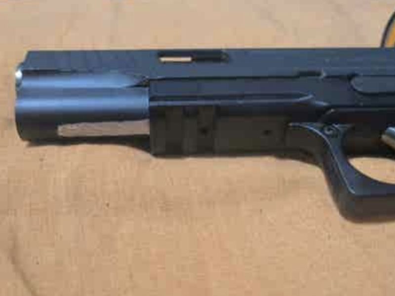 WE hi capa 5.1 T-rex