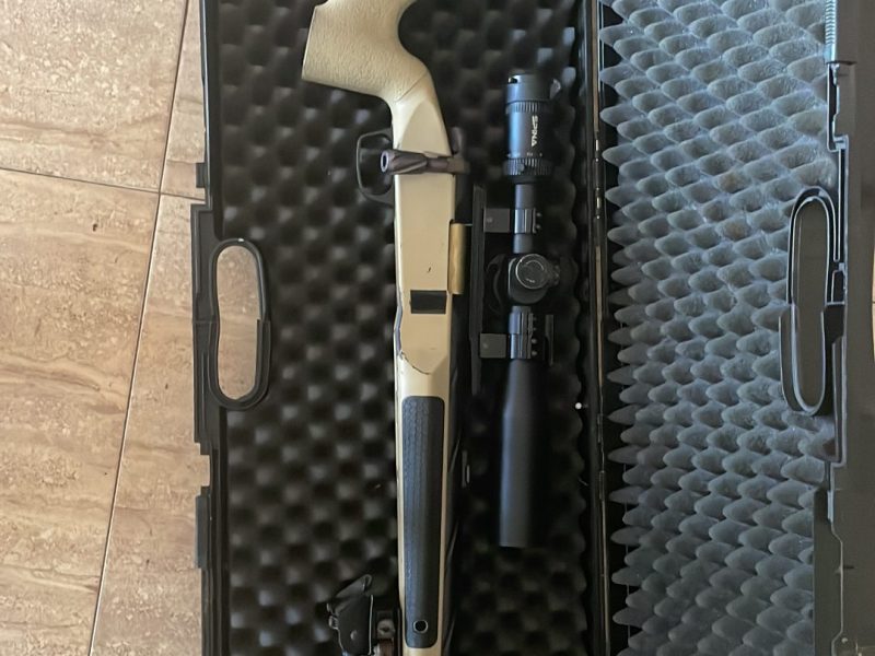 Novritsch ssg10 a2
