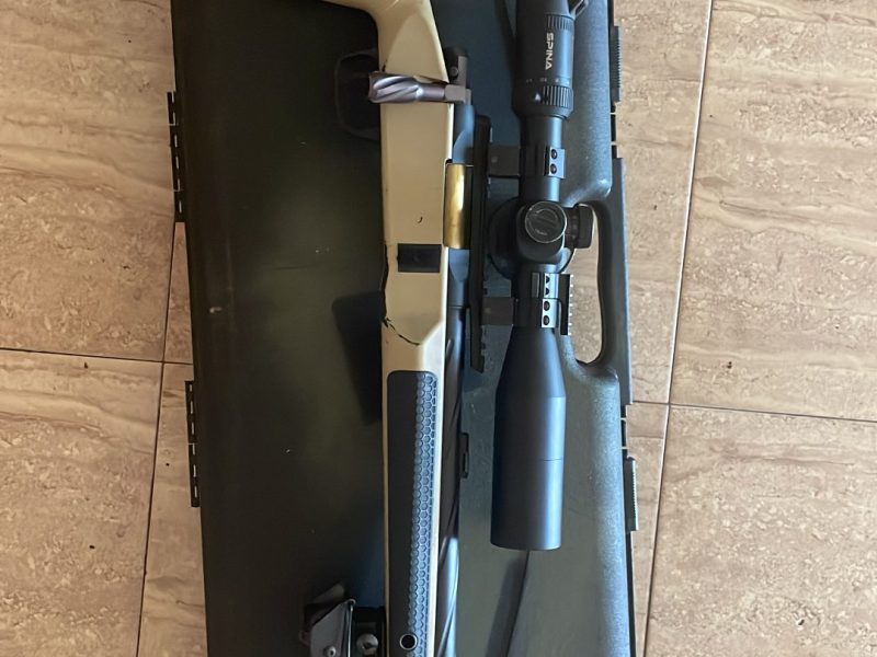 Novritsch ssg10 a2