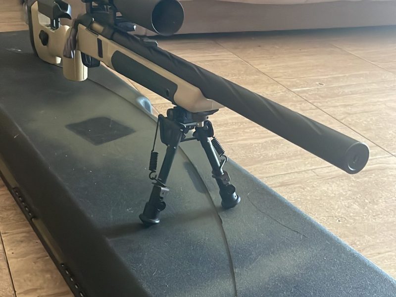 Novritsch ssg10 a2