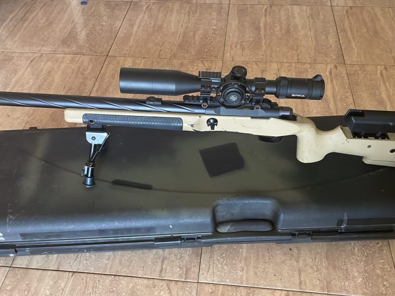 Novritsch ssg10 a2