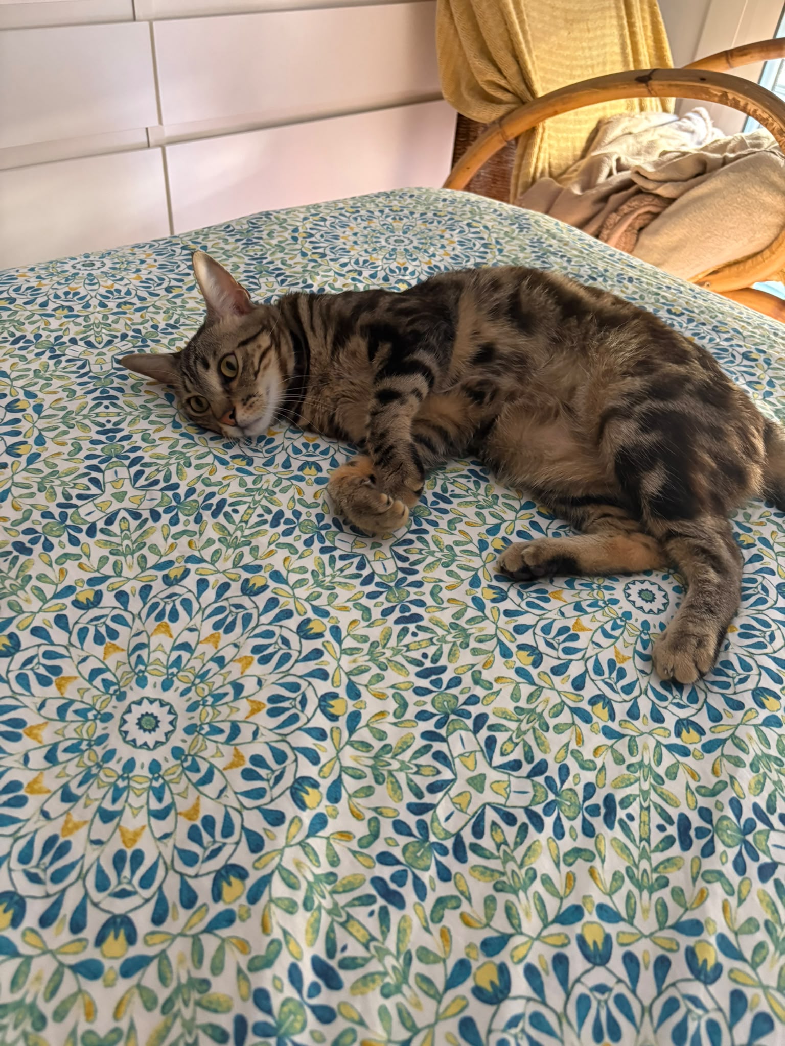 lluís